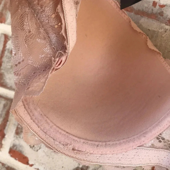 Blush Lace Lightly Padded Underwire Bra - Picture 7 of 8